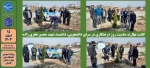 کاشت نهال به مناسبت روز درختکاری در سرای دانشجویی، دانشمند شهید محسن فخری زاده پسران گرگان_شهیدچمران  2